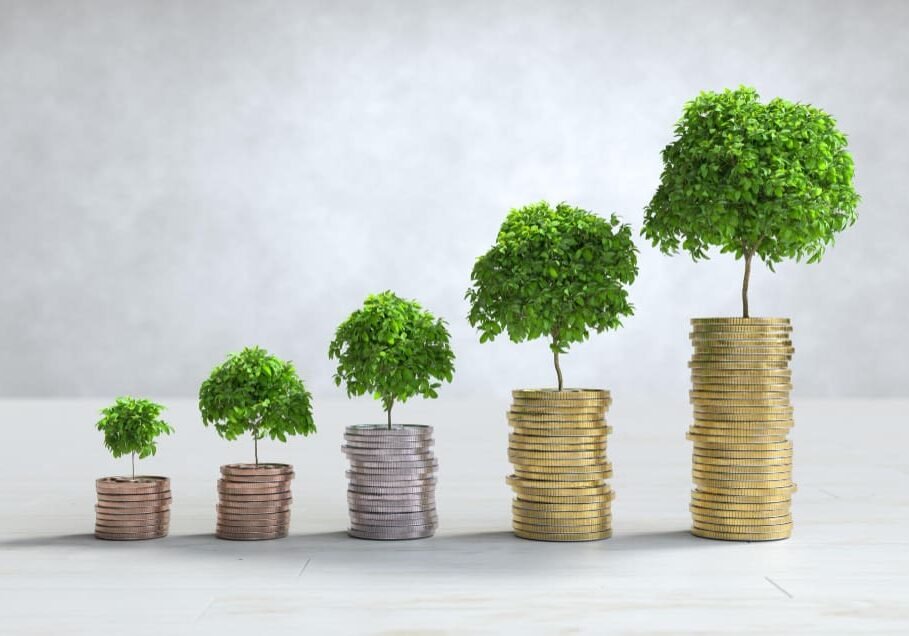 PPC Management ROI PPC Management ROI
